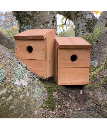 Wooden Multi-Hole Wild Bird Classic Nest Box Birdhouse (Pack of 2) - Buy Online on GoSupps.com