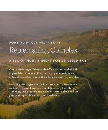 Furtuna Skin Rinascita Delle Olive Replenishing Balm 18g 0.63 Ounce (Pack of 1) - Buy Online on GoSupps.com