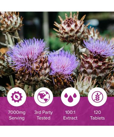 Milk Thistle Tablets 80% Silymarin | High Strength 7000mg Per Serving | Vegan Friendly Natural Health Supplement | Made in The UK (120 Tablets) Unflavoured 1 count (Pack of 120) - Buy Online on GoSupps.com