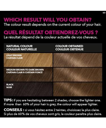 Garnier Olia Permanent Hair Dye Ammonia-Free Hair Color 6.0 Light Brown Long-Lasting Hair Shine With 60% Oils 1 Application BROWN SHADES 6.0 Light Brown - Buy Online on GoSupps.com