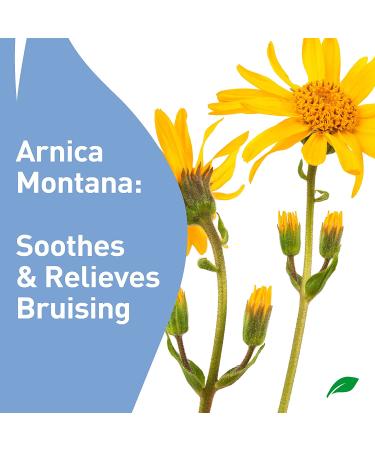 PROcure Remedy Gel with Arnica - Improves Bruises & Spider Veins on Foot & Ankle - Unscented & Paraben-Free - 2 Fl Oz - Buy Online on GoSupps.com