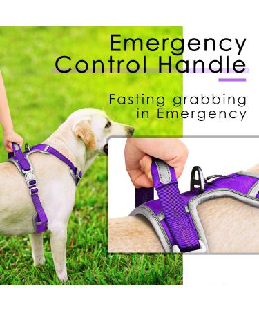 ThinkPet No-Pull Dog Harness & Leash Set - Breathable Adjustable Reflective Safety Harness for Small Medium & Large Dogs - Comfortable Purple Breast Harness with 150cm Leash - Buy Online on GoSupps.com