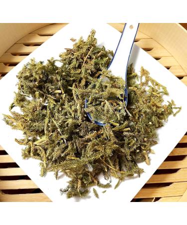 TCM Herbs USA / Shen Jin Cao / Herba Lycopodii /Ground Pine / Common Clubmoss (8 oz) - Buy Online on GoSupps.com