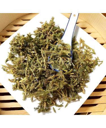 TCM Herbs USA / Shen Jin Cao / Herba Lycopodii /Ground Pine / Common Clubmoss (4 oz)