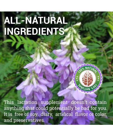 Organic Goats Rue Capsules 500mg - Natural Herbal Supplement for Breastfeeding - Supports Breastmilk Production - 100 Caps - Buy Online on GoSupps.com
