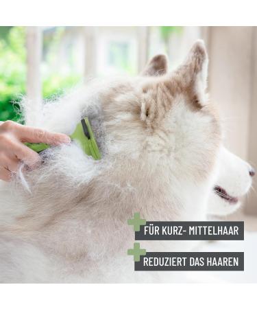 Reavet Unterwollkamm for Short-Haired Dogs & Cats | Self-Cleaning Deshedding Comb for Small Breeds - Buy Online on GoSupps.com