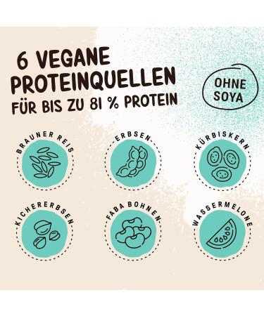 Powerstar Vegan Protein 500g | Soy-Free Multi-Component Protein Powder with 10 Superfoods | German Quality | Ideal for Muscle Building | Salted Caramel Flavor - Buy Online on GoSupps.com