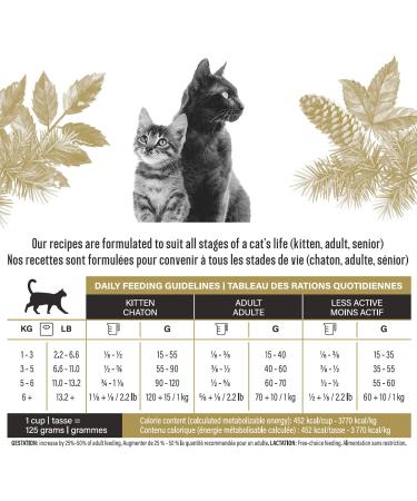 Dry Cat Food - Salmon Recipe - No Corn or Soy - Protein Rich - Kitten Food - Adult Cat Food by Lily & Jax - Salmon 6.4 kg (4 x 1.6 kg) Salmon 1.6 kg (Pack of 4) - Buy Online on GoSupps.com