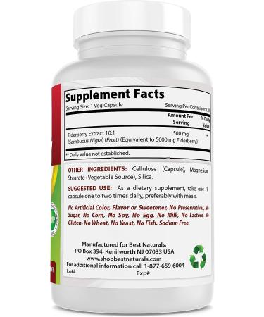 Best Naturals Elderberry Sambucus Nigra 5000mg 120 Veg Capsules - Immune Support Formula - Buy Online on GoSupps.com