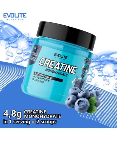 Evolite Nutrition Creatine Monohydrate 500g - Blueberry Flavor Creatine Powder for Pre Workout Boost - Premium Quality Creatine with Taurine - Buy Online on GoSupps.com