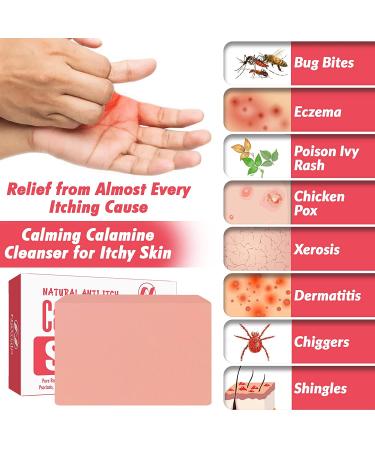 Natural Calamine Soap Bar for Instant Itch Relief - 4 Ounce Anti-Itch Defense for Bug Bites, Eczema, Poison Ivy, Chicken Pox - Soothing Skincare Cleanser - Buy Online on GoSupps.com