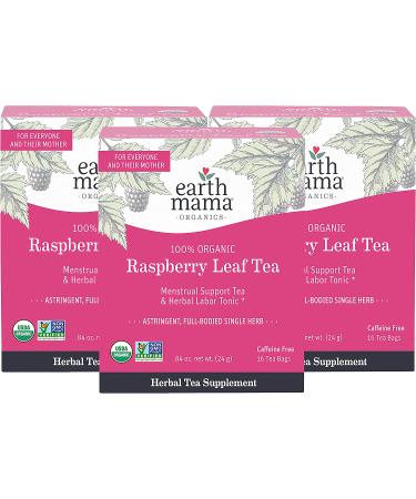 Earth Mama Organic Raspberry Leaf Tea Bags | Labor Tonic & Menstrual Support | 48 Tea Bags (16 Count, Pack of 3) - Buy Online on GoSupps.com