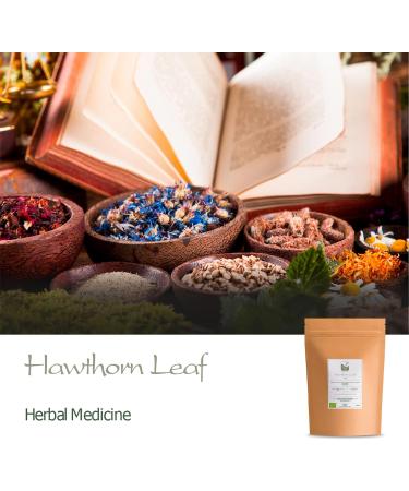Hawthorn Leaf Organic Flower Tea - High Food Grade 100g (Pack of 1) - Hawthorne Leaves and Flowers - Buy Online on GoSupps.com