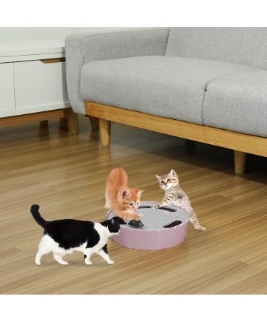 Buy Pawaboo Electric Mouse Cat Toys - Interactive Kitten Play Safe Scratch Mat & Chew Balls in Violet Taro - Buy Online on GoSupps.com