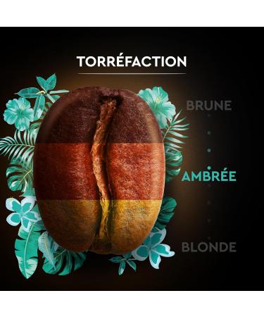  Carte Noire Carte Noire Organic Peruvian Selection Organic Ground Coffee Pure Arabica Roast 12 Packs of 250g - Buy Online on GoSupps.com