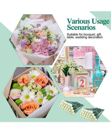 150 Pcs Plastic Floral Water Tubes with Rubber Caps - Flower Arrangement Supplies - 6 Inches - Buy Online on GoSupps.com