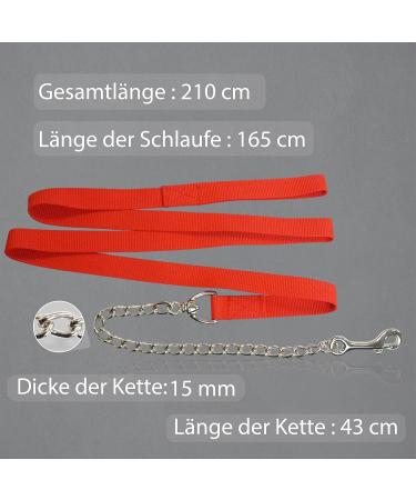 Guide for Horses - Safe Leading with Iron Chain & Nylon Handle | Stallion Pony Dog Donkey | 2.10m Length in Blue Red Green Black - Buy Online on GoSupps.com