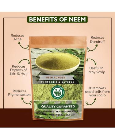 Neem Leaf Powder 8.8 OZ 100% Pure Azadirachta Indica | Traditional Ayurvedic Herb for Skin, Immune, and Detox Support 8.8 Ounce (Pack of 1) - Buy Online on GoSupps.com
