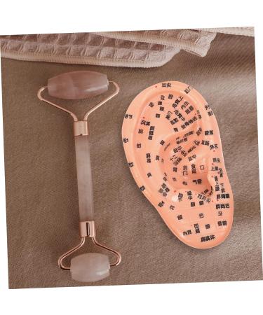 Lurrose 1stk Massage Ear Model - Realistic PVC Ear Acupuncture & Exercise Doll | 3D Human Ear Model for Earplugs & Massage - Buy Online on GoSupps.com