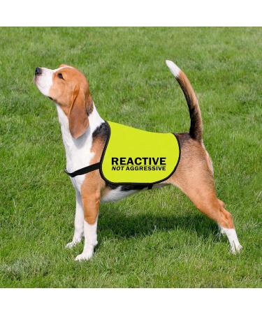 CENWA Reactive Dog Jacket Vest Dog Reactive Dog Training/Reactive Not Aggressive Service Dog Slogan Warning Vest (Reactive Not Aggressive L EU) - Buy Online on GoSupps.com