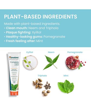 Himalaya Botanique Complete Care Toothpaste - Simply Mint 5.29 oz | Natural Oral Care - Buy Online on GoSupps.com