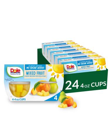 Dole Fruit Bowls No Sugar Added Mixed Fruit in Water, Gluten Free Healthy Snack, 4 Oz, 24 Total Cups