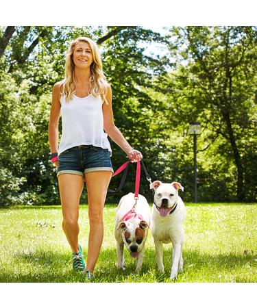 Personalized Velvety Dog Collar & 1.5m Leash for Small to Large Dogs | Adjustable & Stylish Dog Accessories - Buy Online on GoSupps.com