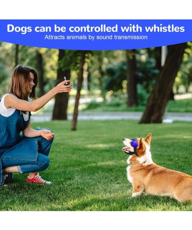 Svitzoot Dog Glasses - UV Protection Sunglasses for Small Dogs | Adjustable Windproof Stylish Black Dog Eyewear - Buy Online on GoSupps.com