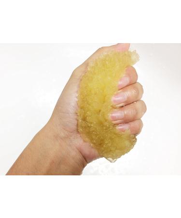 Natural Sea Sponge for Gentle Baby Bath | Hypoallergenic & Eco-Friendly - Buy Online on GoSupps.com