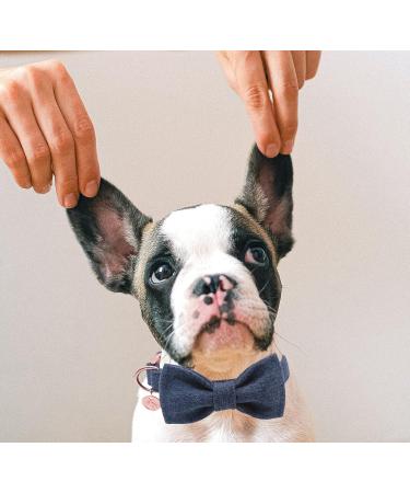 Dogwong Blue Dog Collar with Removable Fly | Comfortable Adjustable Pet Collar for Small & Medium Dogs | Perfect Gift for Girls & Young Dogs | Large Size Available (Pack of 1) - Buy Online on GoSupps.com