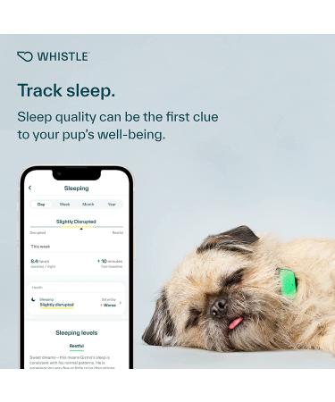 Whistle Health Smart Device for Dogs | Fitness & Activity Tracker - Green - Buy Online on GoSupps.com
