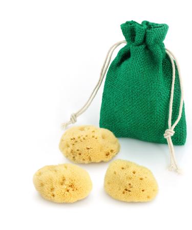 Tom & Pat natural sponge cosmetic sponges-make-up sponge to apply and remove cosmetic products dermatest: very good premium quality from Greece reusable (3 x 4-6 cm) - Buy Online on GoSupps.com