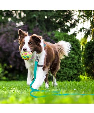 Shop Wolfone 6m Viridiangr n Waterproof Dog Tow Lines - Durable Training Leash for Recall Swimming Camping & Outdoor Adventures - Buy Online on GoSupps.com