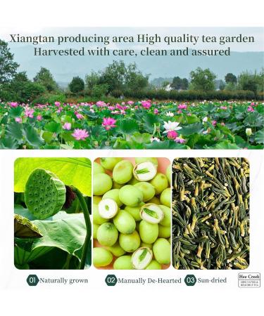 NNBWLMAEE Lotus Seed Core Tea for Men Dried Lotus Plumule Lotus Embryo Tea Men's Essentials Pure Chinese Herbal Tea Natural Lotus Seed Heart Tea Liver and Kidney Care Tea (60g 3PCS) 60g 3PCS - Buy Online on GoSupps.com