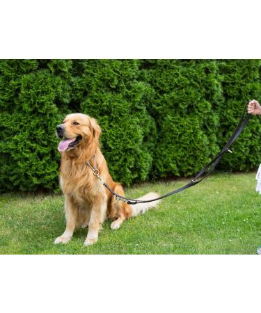 Buy COPCOPET 3-Way Adjustable Dog Leash | Handmade Soft Leather | Chrome Fittings | 2.0m x 20mm | International Shipping Available - Buy Online on GoSupps.com