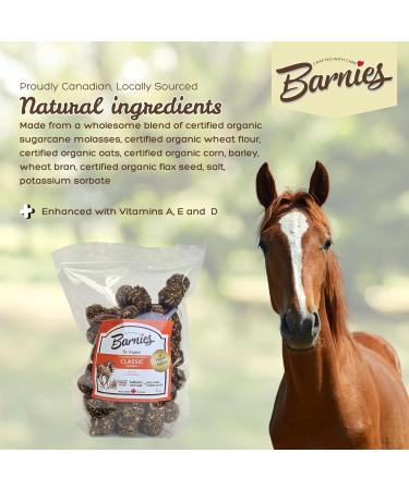 Barnie s All-Natural Horse Treats Vitamin-Enhanced Locally Sourced Canadian-Made Biscuits for Horses | 4 Flavours (Classic Apple Watermelon Peppermint) (3.5kg Classic) - Buy Online on GoSupps.com