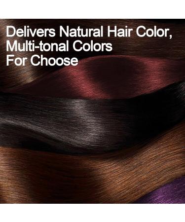 Cherry Brown Hair Dye Shampoo for Gray Hair - Long-lasting 3 in 1 Instant Color | Unisex Hair Color Solution 16.9 Fl Oz - Buy Online on GoSupps.com