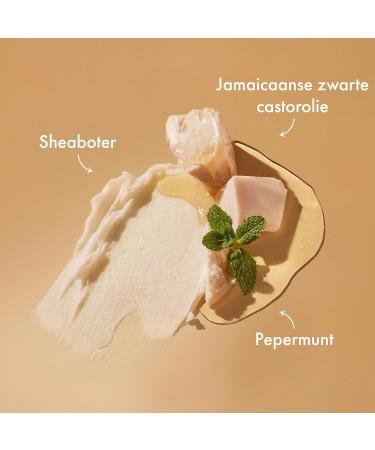 Unilever SheaMoisture Strengthen & Restore Treatement Mask for natural chemically treated or heatstyled hair Jamaican Black Castor Oil for extra strength and elasticity 2 x 355 ml - Buy Online on GoSupps.com