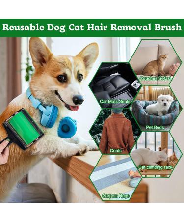 Reusable Lint Roller Sticky Lint Brush for Dog Cat Pet Cat Hair Remover Clothes Roller Sticky Reusable Lint Roller Washable Sticky Roller for Clothes Carpets - Buy Online on GoSupps.com
