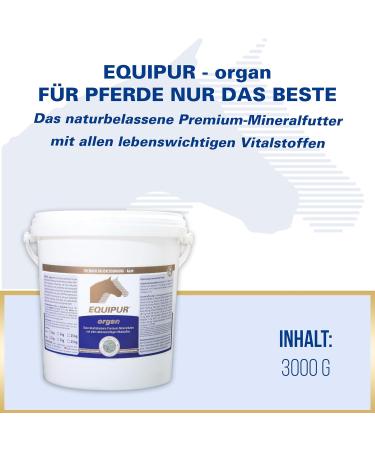 Equipur Organ Powder 3 kg - Buy Online on GoSupps.com