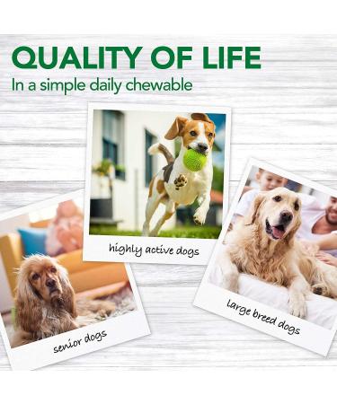 Vet's Best Advanced Hip & Joint Supplements for Dogs Supports Joint and Cartilage Health in Dogs 60 Chewable Tablets - Buy Online on GoSupps.com