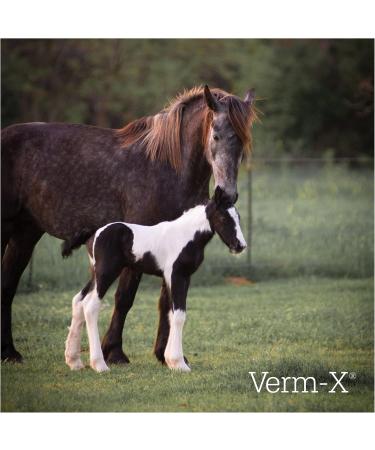 Verm-X Powder for Horses 480g - Natural Parasite Control & Gut Health | Fast International Shipping - Buy Online on GoSupps.com