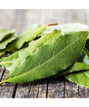 500g Whole Dried Bay Leaves - Laurus Nobilis - Intense Aroma & Taste - 100% Natural Pure and No Additives | Qual - Buy Online on GoSupps.com