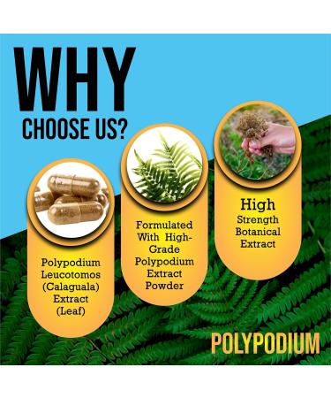 Summer Ready Skin Care Supplement Capsules - Nicotinamide/Niacinamide/Niacin 500mg (Vitamin B3) and Polypodium Leucotomos (Fern Extract) 480mg Antioxidant Rich Formula - Buy Online on GoSupps.com