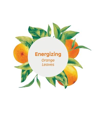 ATTITUDE Super Leaves Hypoallergenic Energizing Body Cream - Orange Leaves 8 fl oz - Pack of 1 - Buy Online on GoSupps.com
