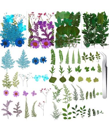 109 Piece Real Dried Pressed Flowers Set with Tweezers - Craft DIY Candle Resin Jewelry Nail Pendant Making Supplies - Buy Online on GoSupps.com