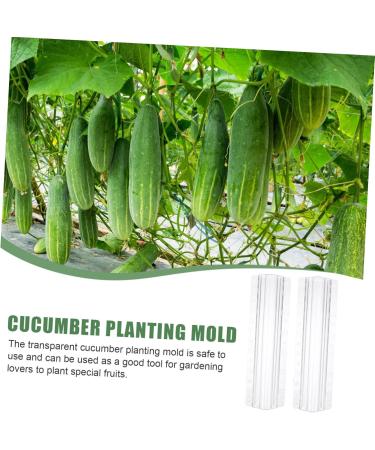 VANZACK Horticulture 3pcs Vegetable Shaping Mold Vegetables Growing Mold Shape Mold for Vegetable Flower Shape Watermelon - Buy Online on GoSupps.com