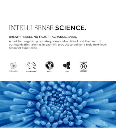 Bell-curve Curl Reviving Spray for Curly Hair Rejuvenating Protein-Infused Mist Vegan 5 Oz - Buy Online on GoSupps.com