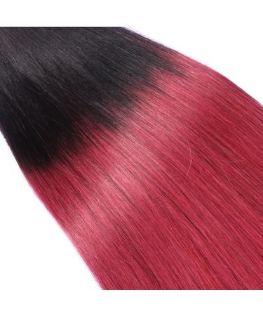 Buy #1B/Burgundy Ombre Keratin Bonding Hair Extensions - 40cm 25 Strands 100% Remy Real Hair - High Quality U-Tip by Novon - Buy Online on GoSupps.com