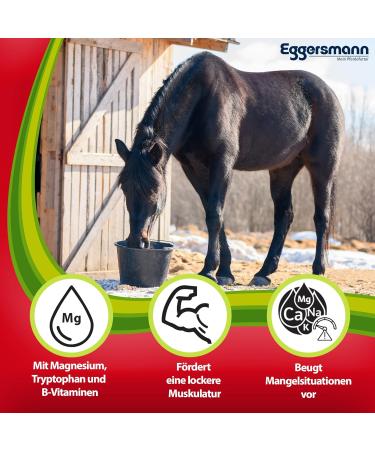 Buy EGGERSMANN Professional Magnesium Horse Feed - 4 kg Supplement for Muscle Support & Relaxation - High-Quality Magnesium Tryptophan & B Vitamins - Buy Online on GoSupps.com
